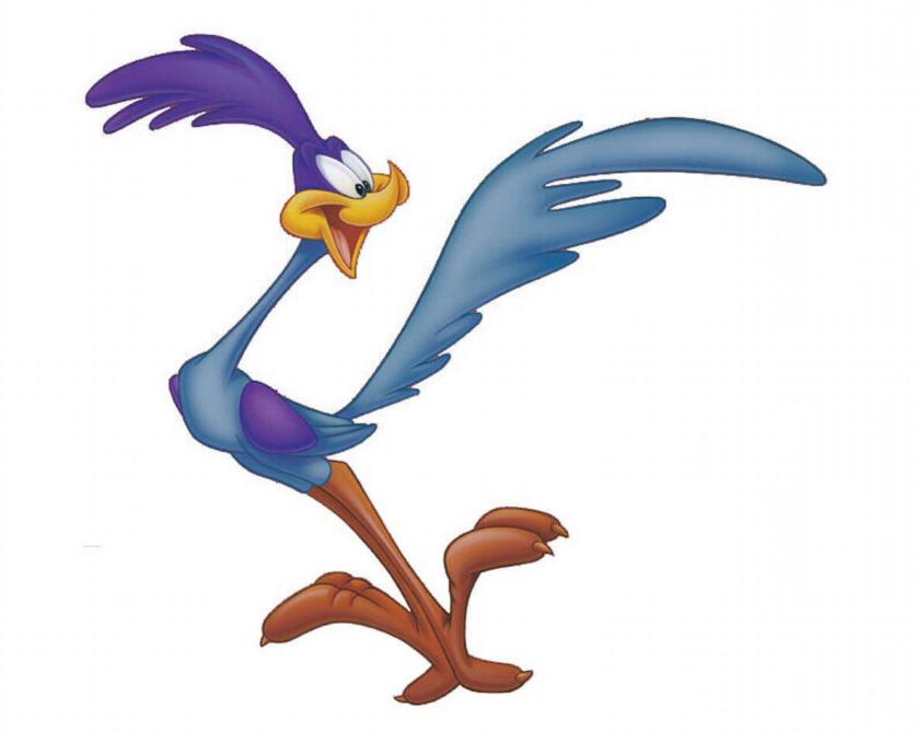 Bip bip grand geocoucou