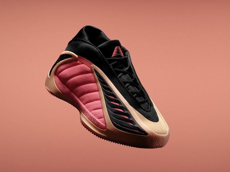 Les adidas AE2 With Love