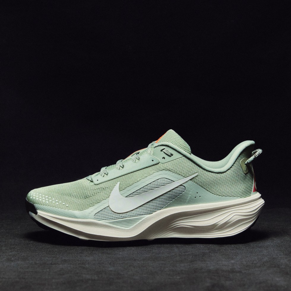 La Nike ACG Pegasus Trail