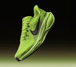 Les Nike Pegasus 42