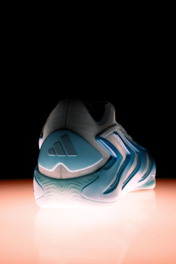 Et voilà les adidas AE3